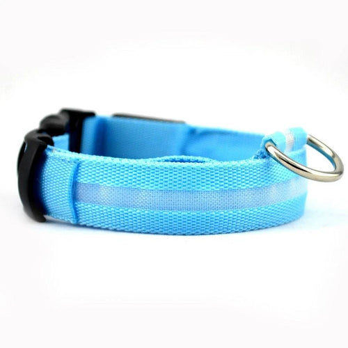 LED-Hundehalsband und Katzenhalsband – hohe Sichtbarkeit bei Nacht