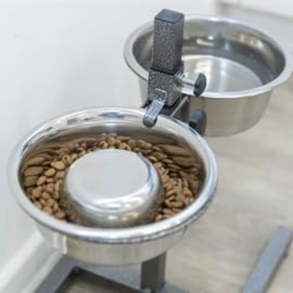 Trixie Gamelle Pour Chien Alimentation Lente En Acier Inoxydable 1,5 L Capacité Durable Facile À Nettoyer by LSDLBoutique