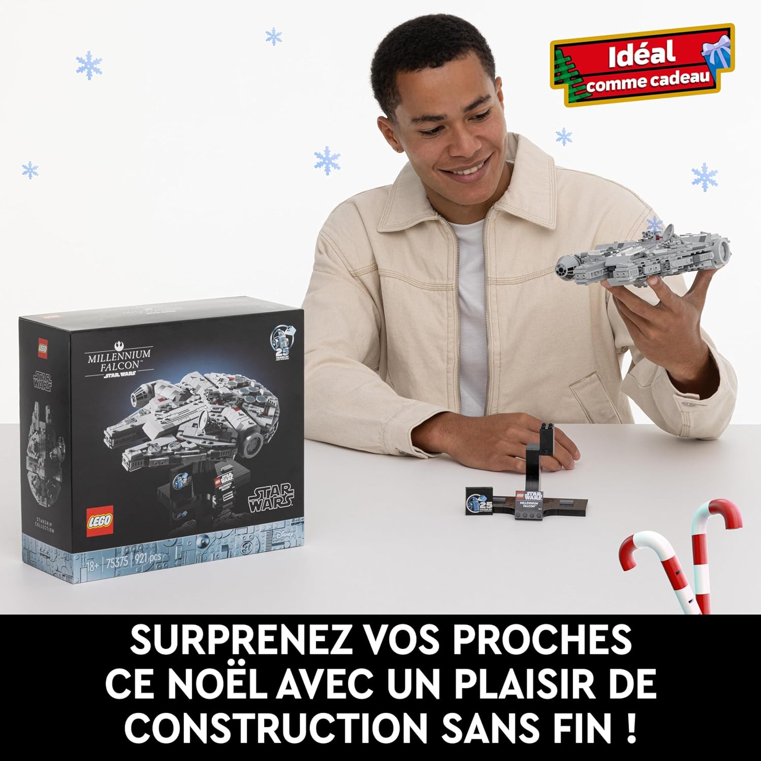 LEGO Star Wars 75375 Millennium Falcon - Set de Construction de Vaisseau Spatial Collector pour Adulte - Présentoir & Plaque Descriptive pour Déco de Bureau - Cadeau pour Fans de Un Nouvel Espoir