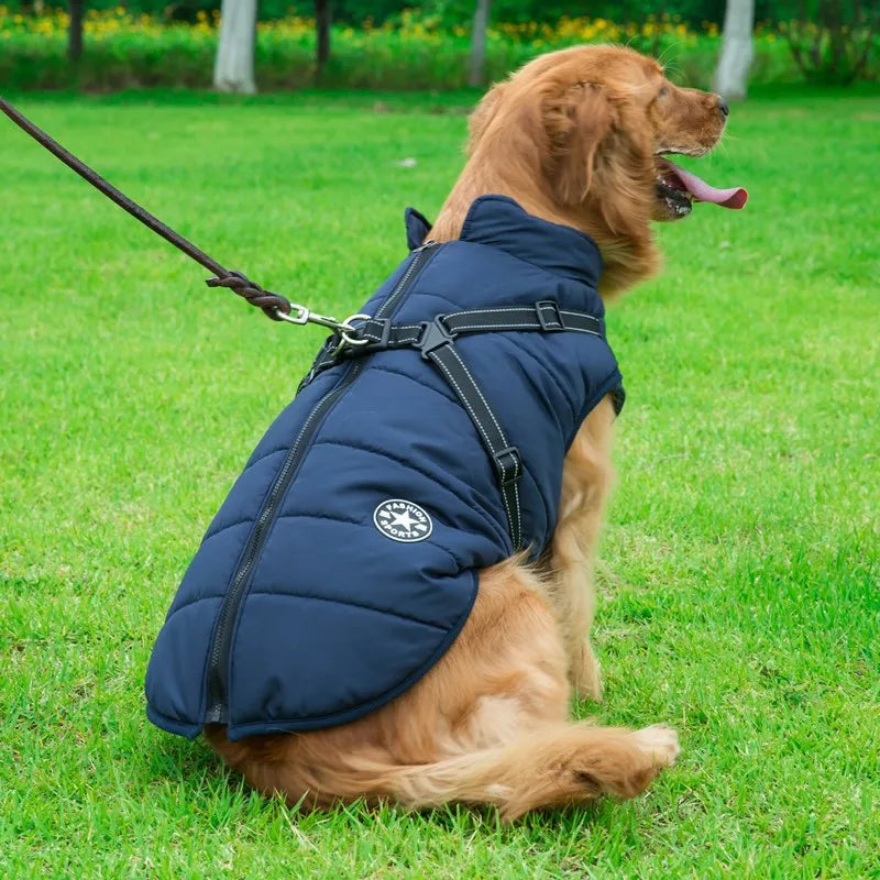 CDDMPET Veste Pour Chien Imperméable Chaude Grande Taille Harnais