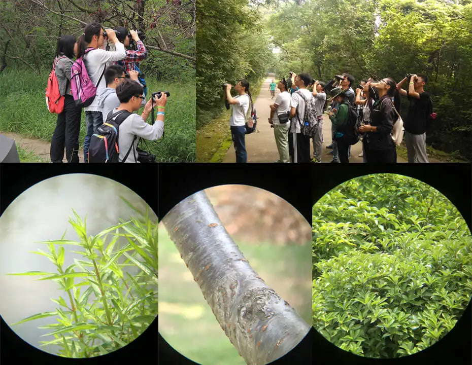 SVBONY SV47 8x42 BAK4 FMC HD IPX7 Wasserdichtes Fernglas