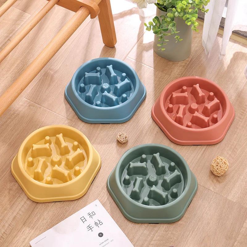 Bol anti-glouton pour chiens et chats – Alimentation lente - LSDLBoutique