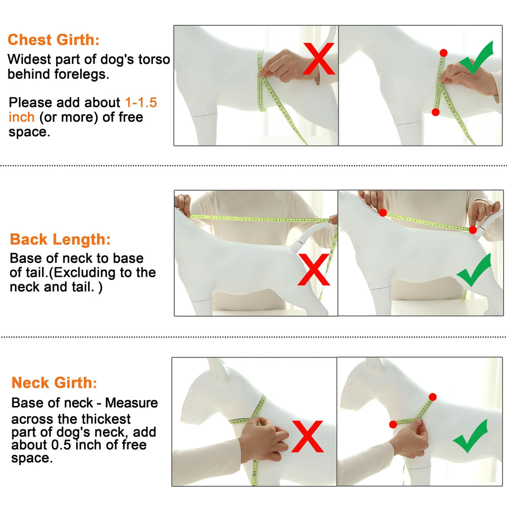 Witty Boy Jeans Veste Pour Petit Chien Beige Col Fourrure