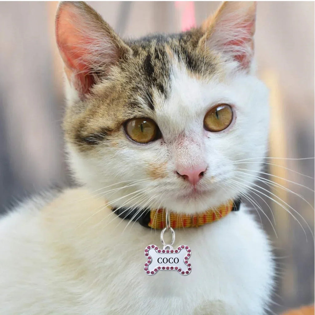 Médaille Gravée Personnalisée Pour Chien Et Chat Plaque Identité Bronze En Acier Inoxydable VIP Élégante Et Durable by LSDLBoutique