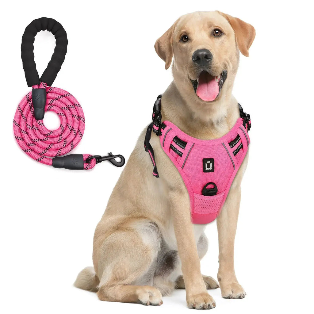 Harnais gilet anti-fuite rose pour chien avec laisse assortie, LSDLBoutique – réglable et réfléchissant
