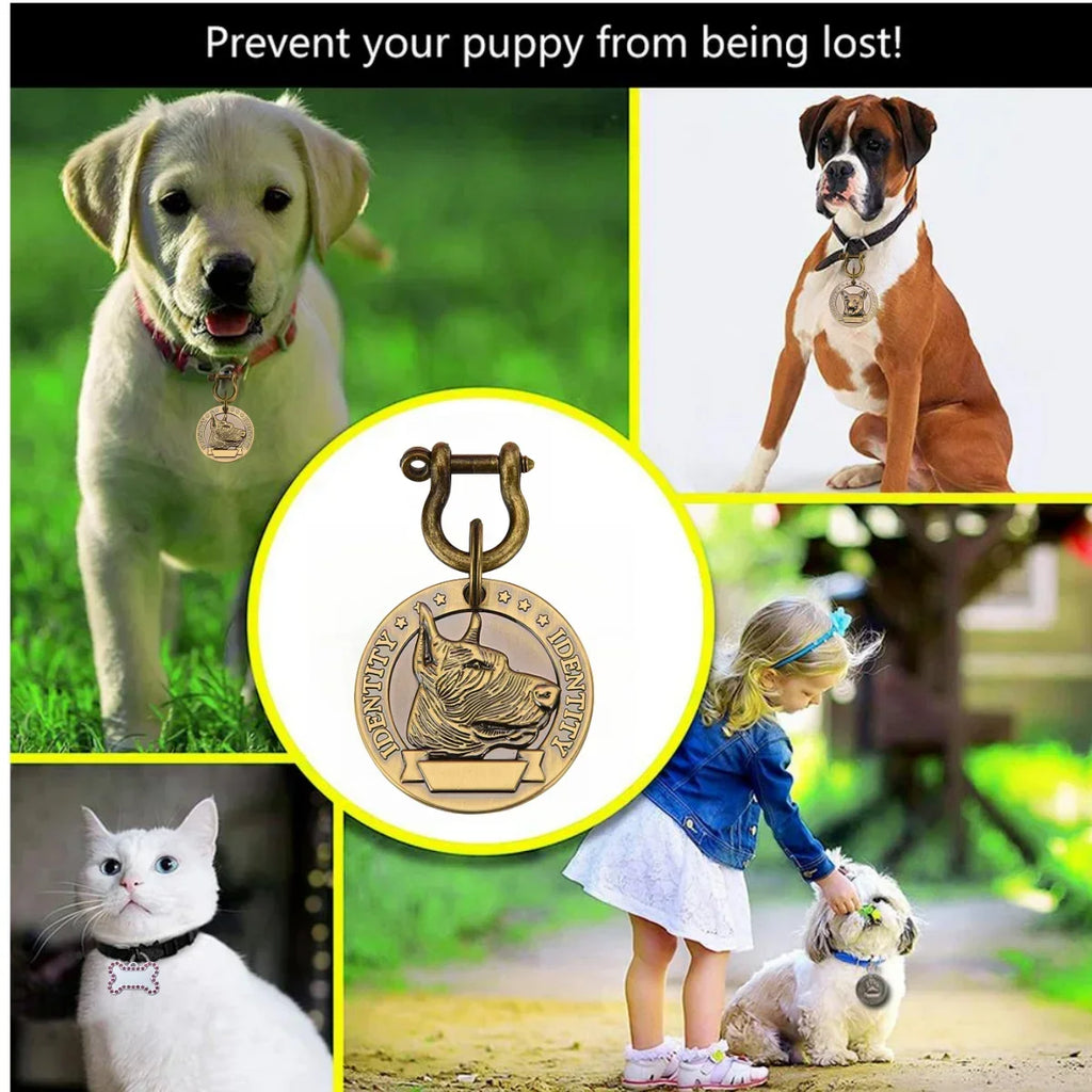 Médaille Gravée Personnalisée Pour Chien Et Chat Plaque Identité Bronze En Acier Inoxydable VIP Élégante Et Durable by LSDLBoutique