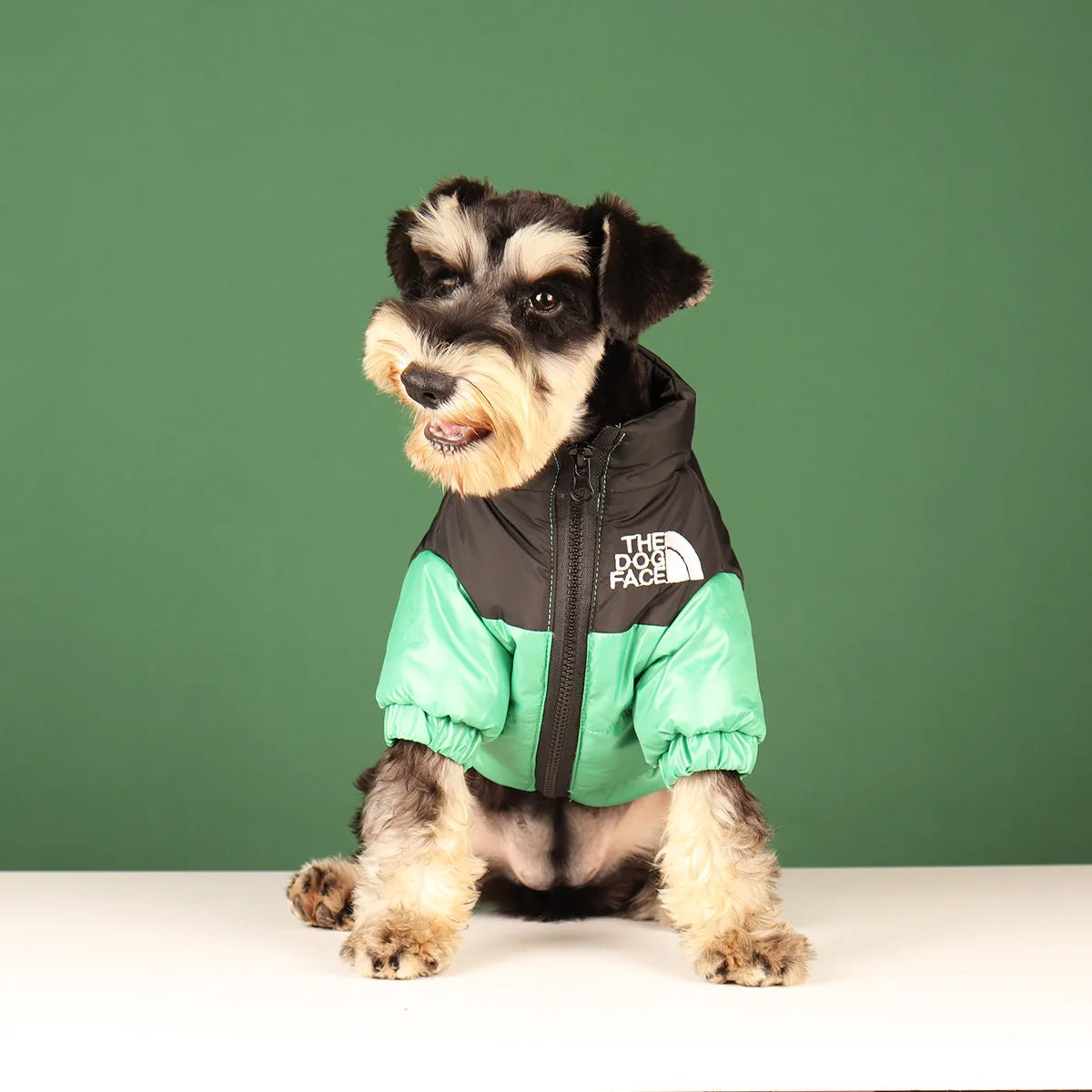 The Dog Face Veste Pour Chien Coupe Vent Polyester Vert