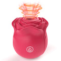 Stimulateur Clitoridien Rose 2 En 1 Succion Et Pulsation Puissante En Silicone Médical Compact Et Élégant by LSDLBoutique
