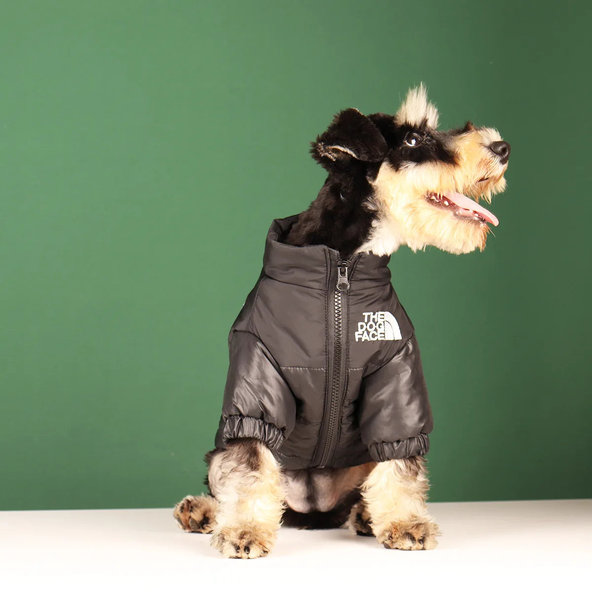 The Dog Face Veste Pour Chien Coupe Vent Polyester Vert
