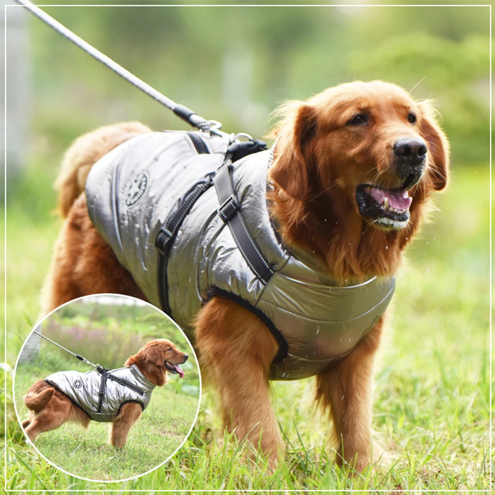 CDDMPET Veste Pour Chien Imperméable Chaude Grande Taille Harnais
