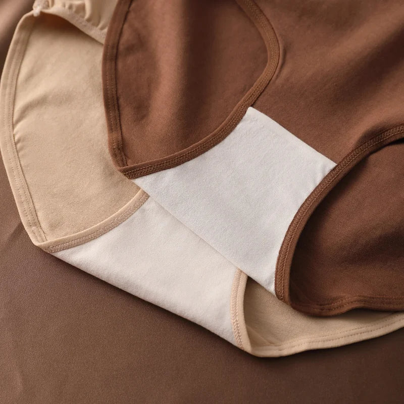 Preference Culotte Taille Haute Coton Beige Marron 7 Pièces