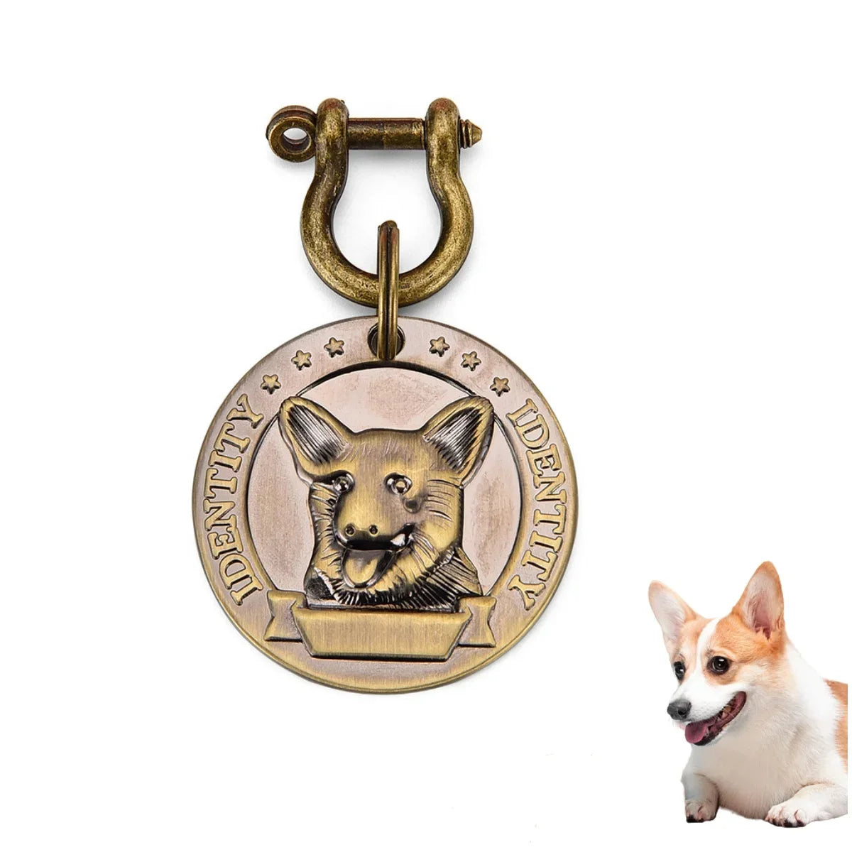 Médaille Gravée Personnalisée Pour Chien Et Chat Plaque Identité Bronze En Acier Inoxydable VIP Élégante Et Durable by LSDLBoutique