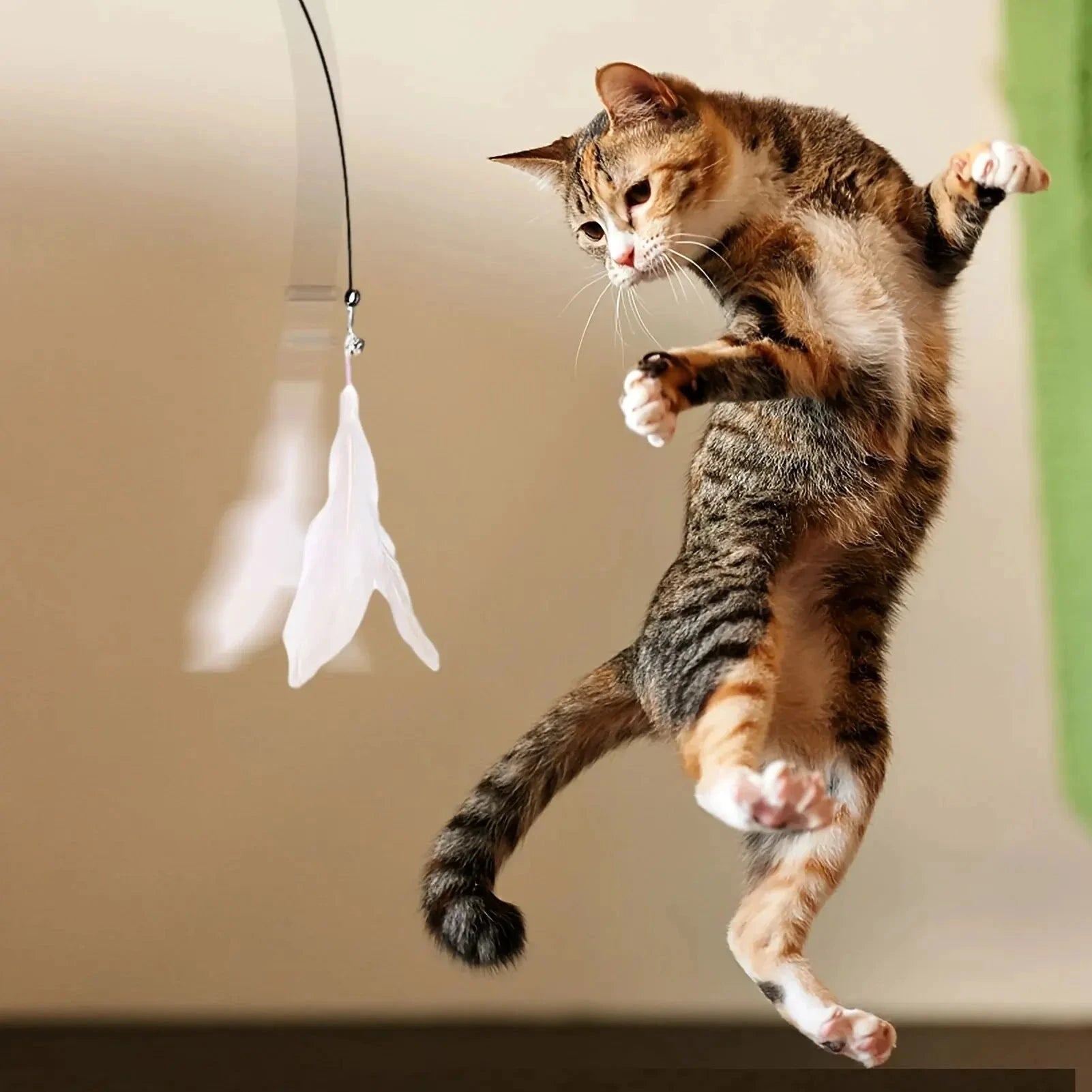Jouet interactif pour chat – Baguette plume et clochette - LSDLBoutique