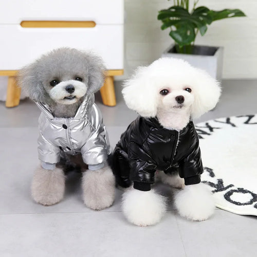 Combinaison Hivernale Imperméable Pour Petits Chiens Gris