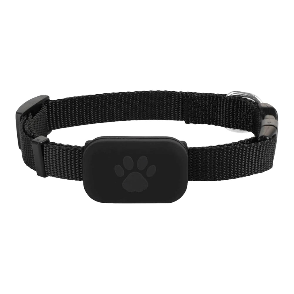 Traceur GPS pour animaux de compagnie avec collier réglable