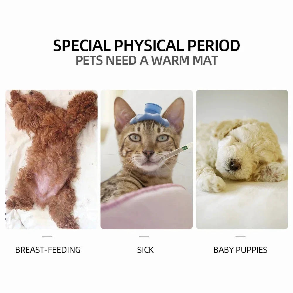 Wasserdichte, beheizbare Haustierdecke, graues Blumenmuster, für Katzen und Hunde