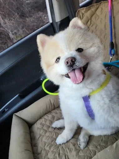 Wasserdichter Autositzbezug, graues Nylon, schmutzabweisend