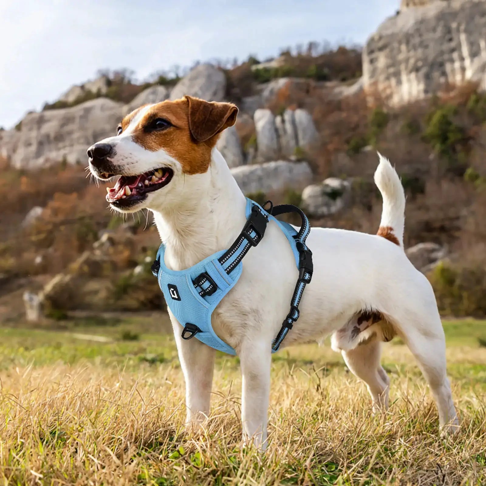 Harnais gilet pour chien LSDLBoutique bleu clair, réglable et réfléchissant avec laisse