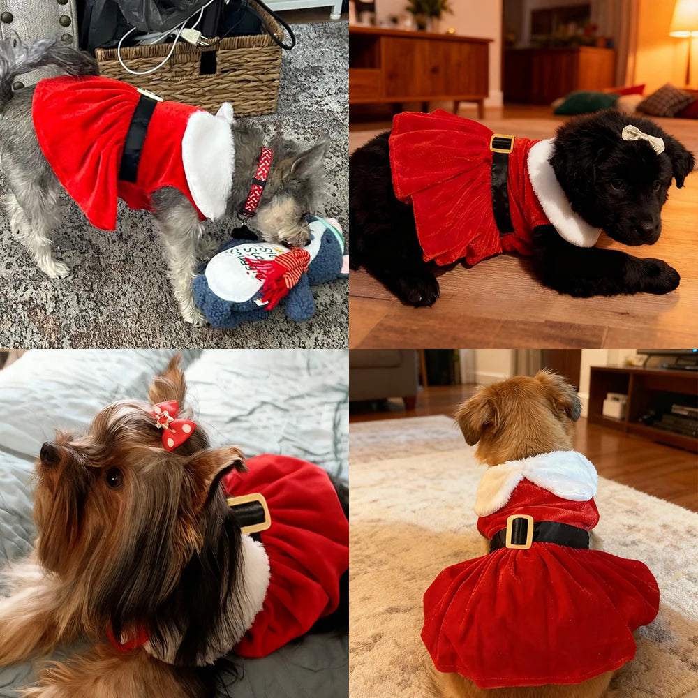 Robe Noël Rouge Avec Ceinture Noire Pour Petit Chien Et Chat