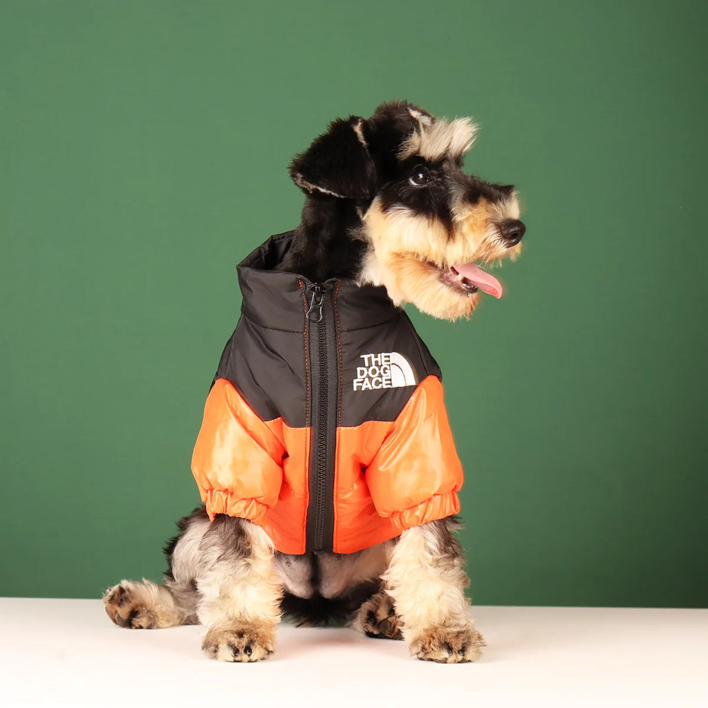 The Dog Face Veste Pour Chien Coupe Vent Polyester Vert
