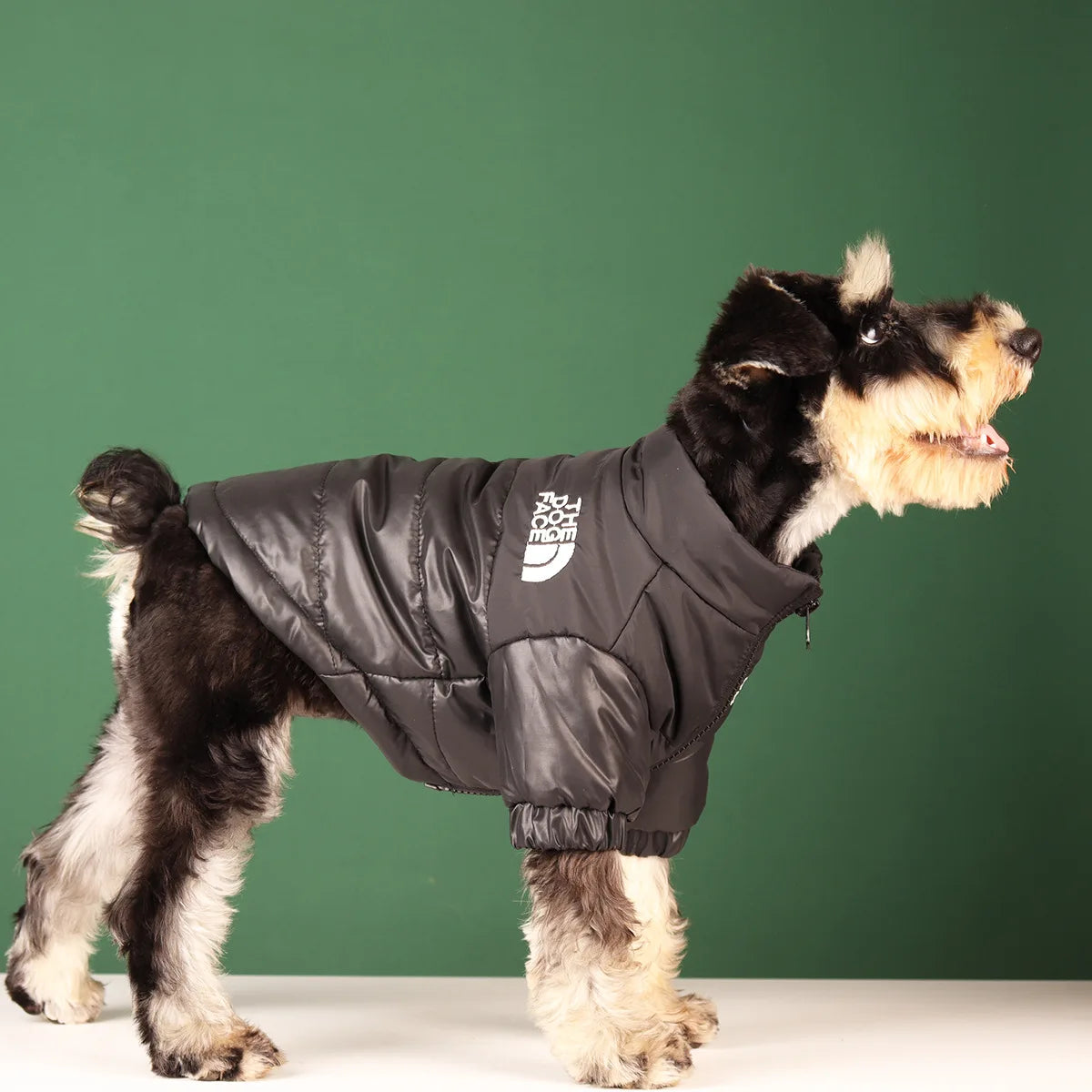 The Dog Face Veste Pour Chien Coupe Vent Polyester Vert