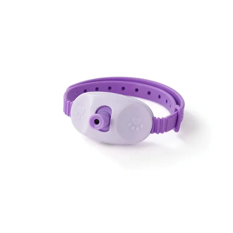 Collier laser rechargeable pour chat violet avec unité blanche, LSDLBoutique