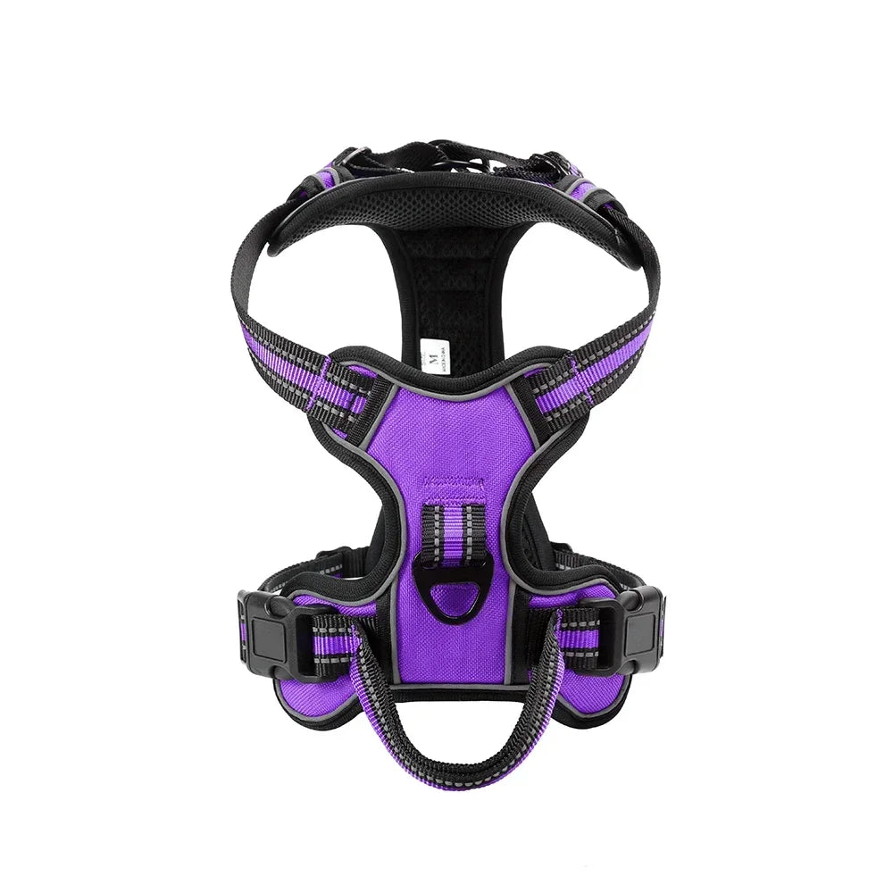 Harnais réglable en nylon pour chien, violet et noir, avec boucles et anneau D.