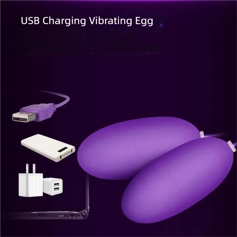 Mini Vibromasseur Double USB 12 Vitesses Bullet Et Œuf Vibrant Télécommande Filaire Portable by LSDLBoutique