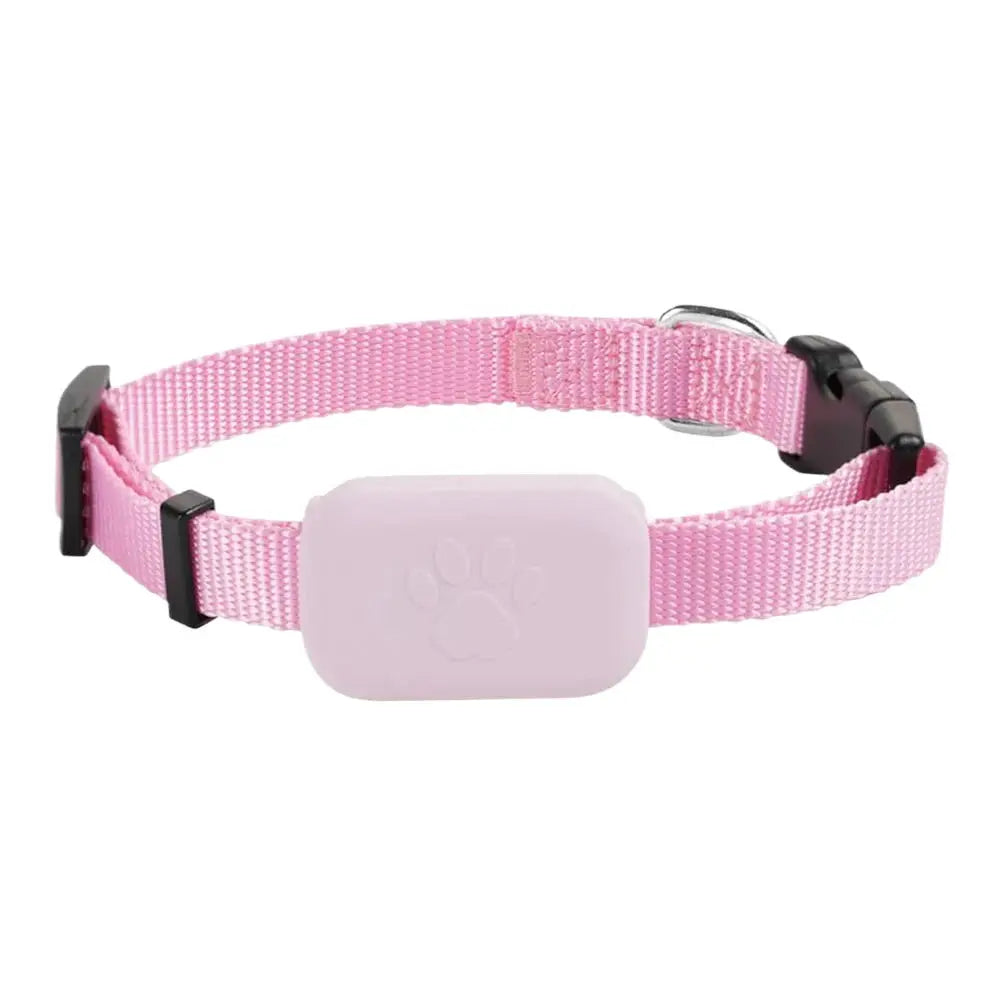 Traceur GPS pour animaux de compagnie avec collier réglable