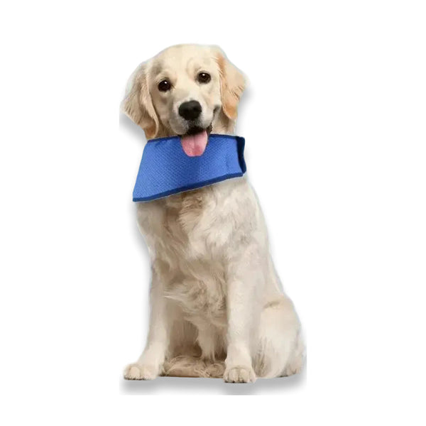Bandana de Refroidissement pour Chien